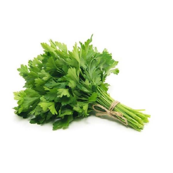 Coriander 1Bunch