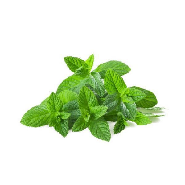 Mint 1Bunch
