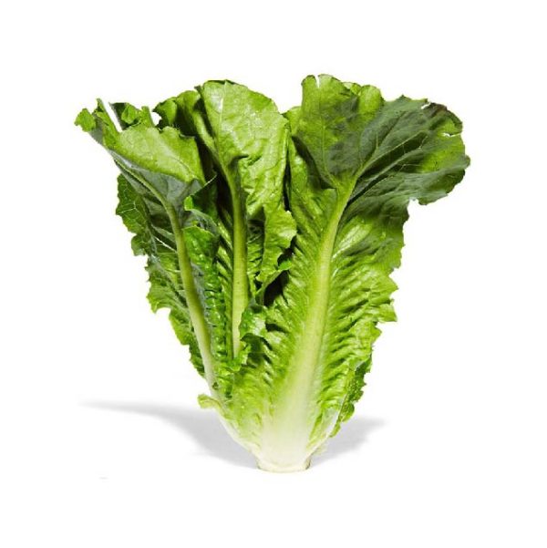 Lettuce Romaine -250g