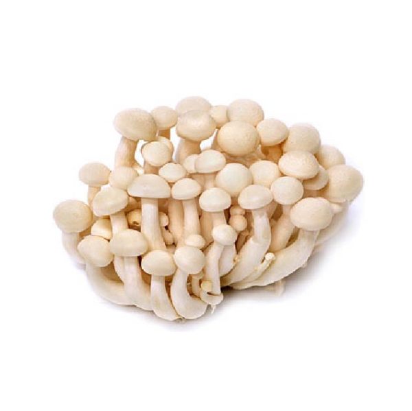 Mushroom White - 1Pack